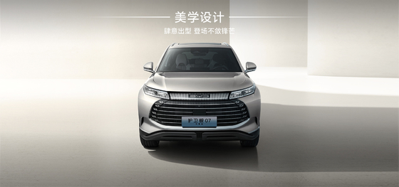 BYD फ्रिगेट07 100 किमी एलीट प्रकार