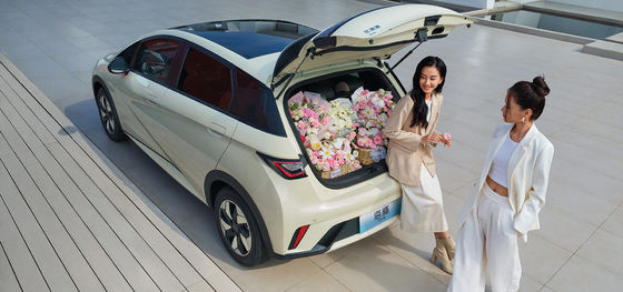 1.5L विस्थापन BYD सील06 DM-i 120KM लीडिंग एडिशन