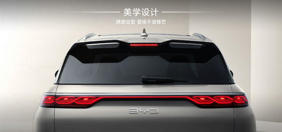 BYD फ्रिगेट07 100 किमी एलीट प्रकार