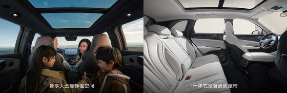 BYD फ्रिगेट07 100 किमी एलीट प्रकार