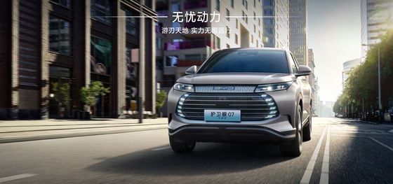 BYD फ्रिगेट07 100 किमी एलीट प्रकार