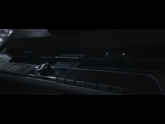 बीवाईडी-पिंझी